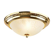 Потолочный светильник Arte Lamp 28 A3013PL-2GO