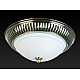 Накладной светильник Toplight Dora TL5040Y-02AB