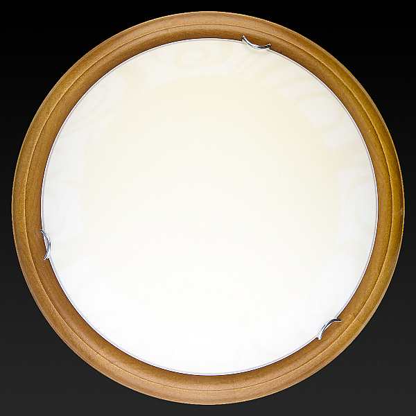 Настенно-потолочный светодиодный светильник Toplight Ginger TL9620Y-00OA