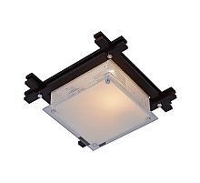 Потолочный светильник Arte Lamp Archimede A6463PL-1BR