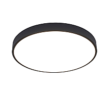 Потолочный светодиодный светильник Arte Lamp Arena A2672PL-1BK