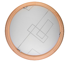 Настенно-потолочный светодиодный светильник Toplight Debora TL9540Y-00PN