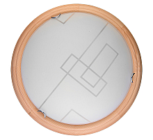 Настенно-потолочный светодиодный светильник Toplight Debora TL9540Y-00PN