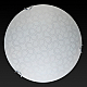 Настенно-потолочный светодиодный светильник Toplight Christina TL9521Y-00WH