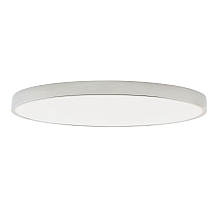 Потолочный светильник Zortes Tortty ZRS.02565.120