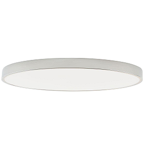 Потолочный светильник Zortes Tortty ZRS.02565.120