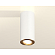 Накладной поворотный светильник Ambrella Light Techno XS7442004 (C7442, N7004)