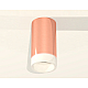 Потолочный светильник Ambrella Light Techno Spot XS6326021 (C6326, N6248)