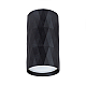 Потолочный светильник Arte Lamp Fang A5557PL-1BK