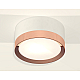 Потолочный светильник Ambrella Light Techno Spot XS8101006 (C8101, N8126)