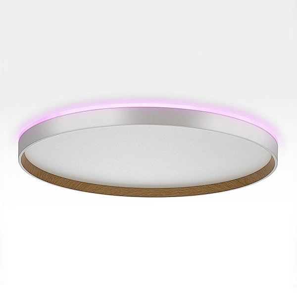 Потолочный светодиодный светильник Citilux Etalon CL750500R