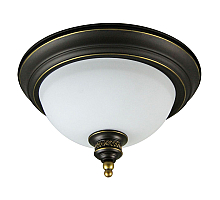 Потолочный светильник Arte Lamp Bonito A9518PL-2BA