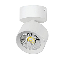 Накладной светильник Alta Pro Lightstar A5536SO
