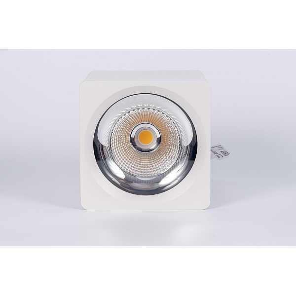 Накладной светильник Fiberli CH-SD230-1 12120102