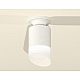 Накладной светильник Ambrella Light Techno XS6301105 (N6901, C6301, N6256)
