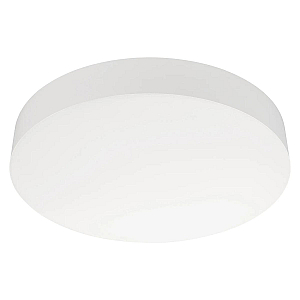Потолочный светильник Arlight IM-FLOWER-EMERGENCY-3H-R360-18W Day4000-MIX (WH, 110 deg, 230V) (Arlight, IP54 Пластик, 2 года) 042563