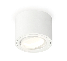 Потолочный светильник Ambrella Light Techno Spot XS7510001 (C7510, N7001)