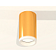 Потолочный светильник Ambrella Light Techno Spot XS6327020 (C6327, N6245)