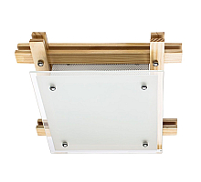 Потолочный светильник Arte Lamp 94 A6460PL-2BR
