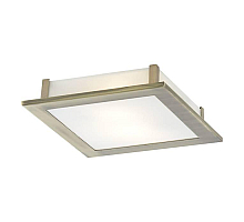 Потолочный светильник Arte Lamp Spruzzi A6064PL-2AB