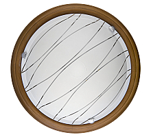 Настенно-потолочный светодиодный светильник Toplight Gabrielle TL9610Y-00OA