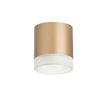 Накладной светильник Lightstar Rullo (213490+202480) R349080