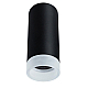 Потолочный светильник Arte Lamp Ogma A5556PL-1BK