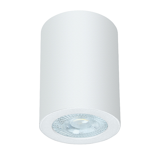 Потолочный светильник Arte Lamp Tino A1468PL-1WH
