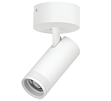Накладной светильник 20-55G с адаптером Lightstar Canno Pro C4206SO