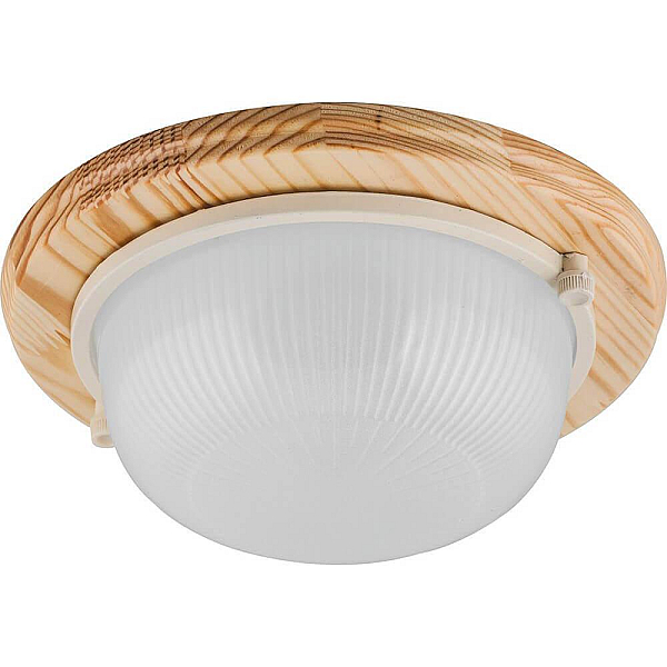 Nastenno potolochnyy svetilnik feron nbo 0360011 11569
