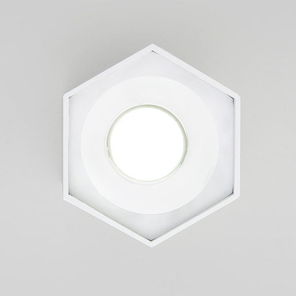 Накладной светодиодный светильник Elektrostandard 25037/LED 4690389176500