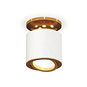 Накладной поворотный светильник Ambrella Light Techno XS7401120 (N7929, C7401, N7004)
