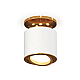 Накладной поворотный светильник Ambrella Light Techno XS7401120 (N7929, C7401, N7004)