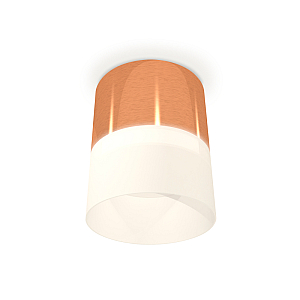 Потолочный светильник Ambrella Light Techno Spot XS8122011 (C8122, N8402)