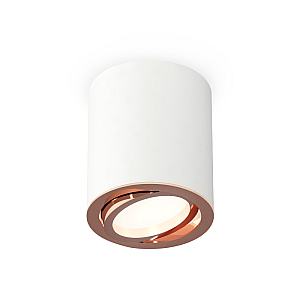 Потолочный светильник Ambrella Light Techno Spot XS7421004 (C7421, N7005)