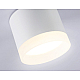 Накладной светильник Ambrella Light Acrylic Frost TN5365