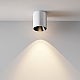 Потолочный светодиодный светильник Maytoni Technical Alfa Led C064CL-12W3K-RD-WB