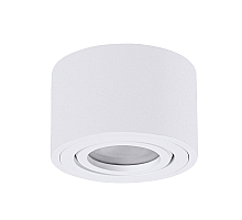 Накладной светильник Arte Lamp Unito A0550PL-1WH