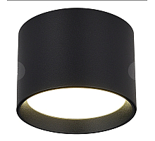 Накладной светильник ST Luce ST163.402.01.02