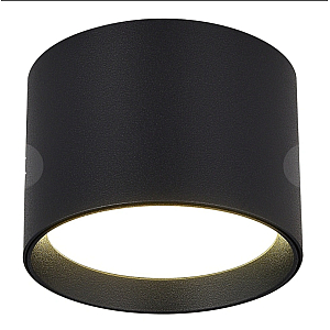 Накладной светильник ST Luce ST163.402.01.02