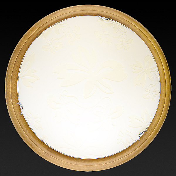 Настенно-потолочный светодиодный светильник Toplight Jane TL9640Y-00OA