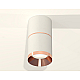 Потолочный светильник Ambrella Light Techno Spot XS7401221 (C7401, A2073, C7401, N7035)
