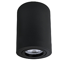 Накладной светильник Arte Lamp Sentry A1566PL-1BK