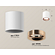 Потолочный светильник Ambrella Light Techno Spot XS7531025 (C7531, N7015)