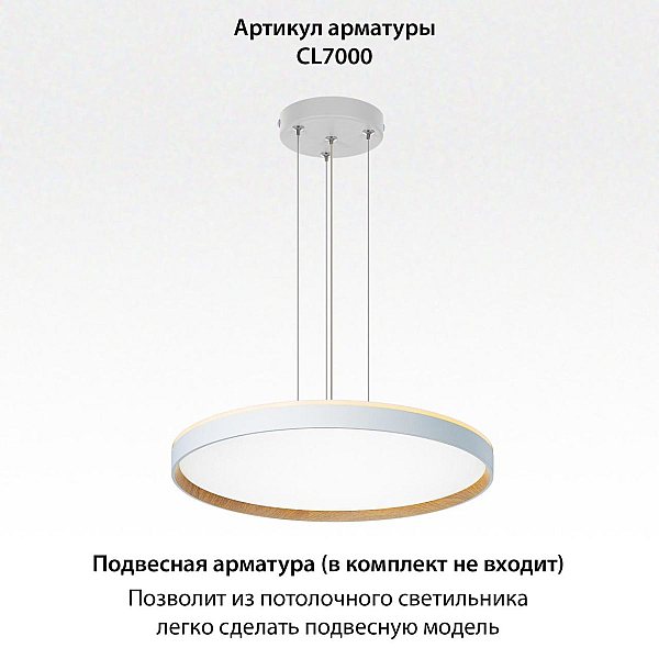 Потолочный светодиодный светильник Citilux Etalon CL750500R