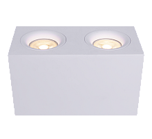 Накладной светильник Maytoni Slim C013CL-02W
