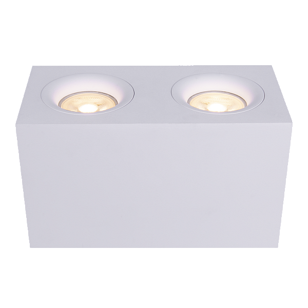 Потолочный светильник Maytoni Technical Slim C013CL-02W