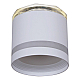 Накладной светильник Reluce 53001-9.5-001LD GX53+LED3W WT