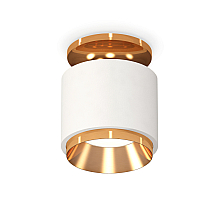 Потолочный светильник Ambrella Light Techno Spot XS7510120 (N7929, C7510, N7034)