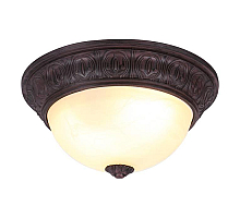 Потолочный светильник Arte Lamp Piatti A8007PL-2CK
